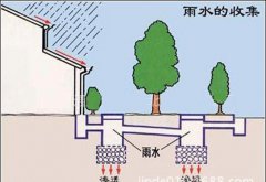 初期雨水收集為什么這么重要？